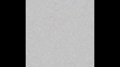 Polly online show from 12.29.24