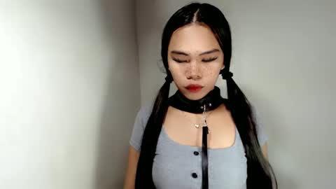 hollyhalo online show from 11.24.25