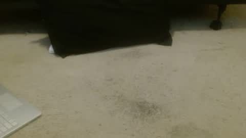 Holly Hawkes online show from 11.11.25