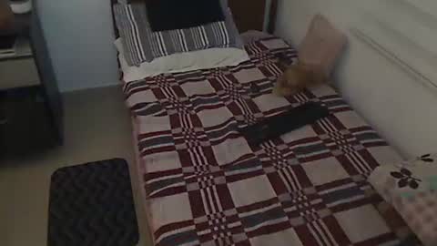 Holofernes45gil online show from 03.28.26