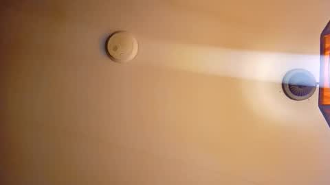 honeybear2026 online show from 12.16.25