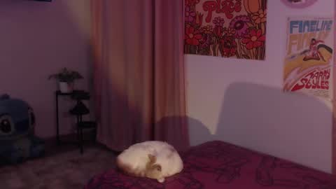 Snapshot of honeyypeaach chatting on 12.11.24    online show from 12.11.24