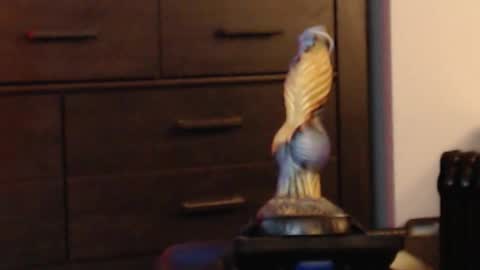 Snapshot of hookedup2 chatting on 02.08.26 ItsReeleMe online show from 02.08.26