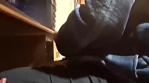 Dominick Subversal online show from 11.01.25