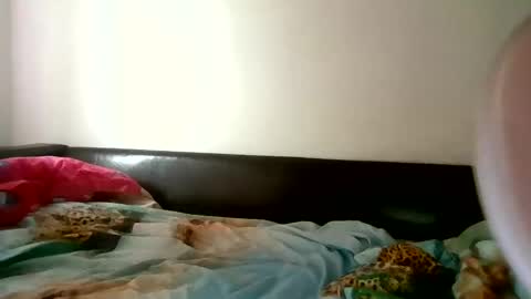 Snapshot of horny_hey chatting on 02.17.26 Serena online show from 02.17.26