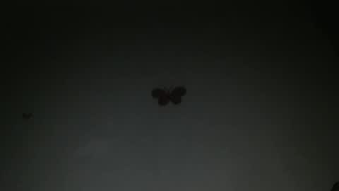 Snapshot of horny_iris chatting on 02.27.26 Iris online show from 02.27.26