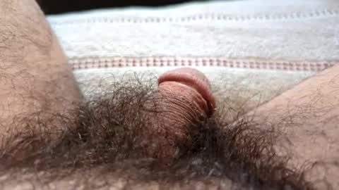 Tiny cock online show from 10.04.25