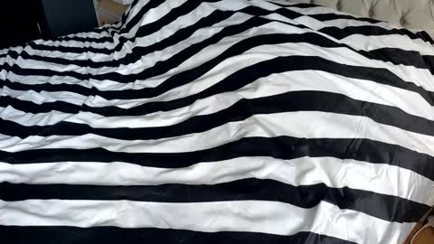 hornyasscouple1009 online show from 01.17.26