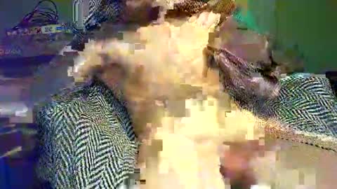 hornycocxxx online show from 03.09.25