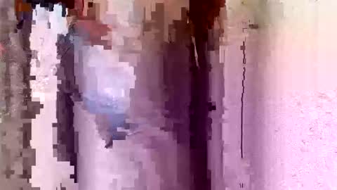 hornyebon9 online show from 10.13.25