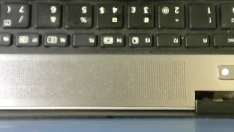 Bella online show from 04.17.26