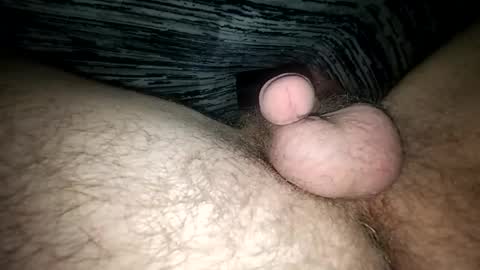 horsecock9748 online show from 02.12.25