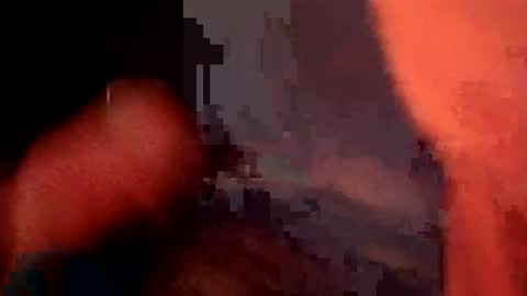 horsey75 online show from 08.08.26