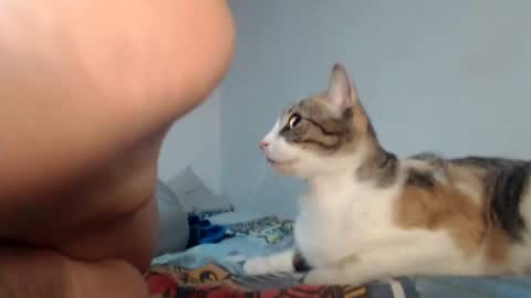 angels online show from 01.24.25