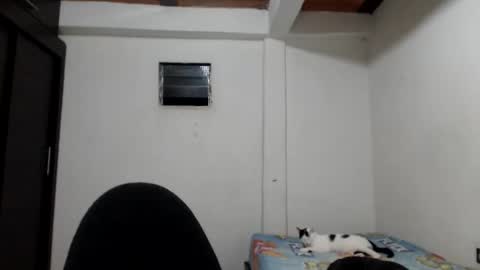 angels online show from 11.23.25