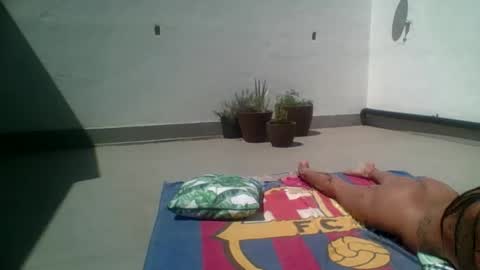 Hardcock20cm online show from 10.05.25