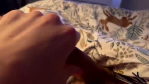 hot_for_you_ online show from 02.26.26