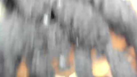 hot_moxie online show from 11.15.25