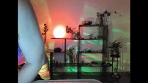 Hot Pictorica online show from 12.01.25