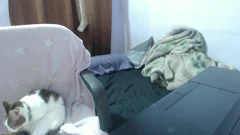 Hot and PowerHOPE U MISS ME online show from 11.14.25