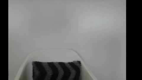 Snapshot of hotjessie0 chatting on 02.18.26 hotjessie0 online show from 02.18.26