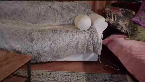 Betty boob online show from 10.31.25