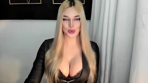 STELLA online show from 11.17.25