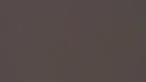 dada11 online show from 11.22.25