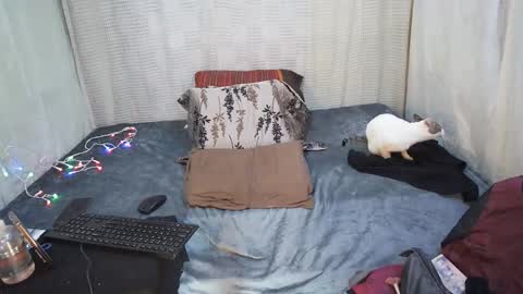 hottiedanicatrans69 online show from 05.18.26