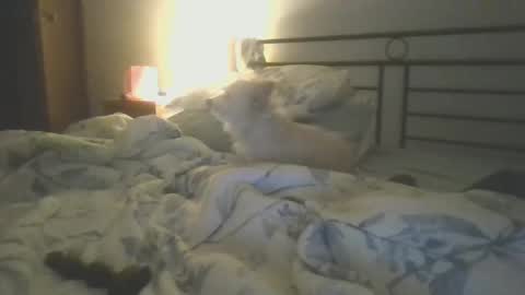 Snapshot of hottnready4u chatting on 01.05.25 Hottnready4u online show from 01.05.25