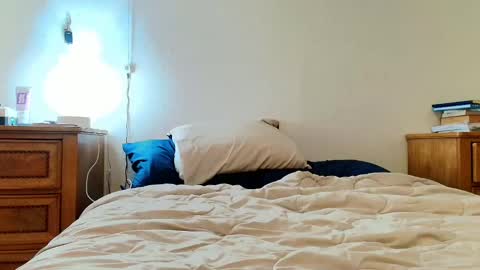 Lili Vixen online show from 02.04.25