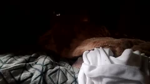 Snapshot of houndmefromhell chatting on 12.25.24 houndmefromhell online show from 12.25.24