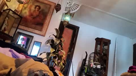 Snapshot of houndmefromhell chatting on 03.05.25 houndmefromhell online show from 03.05.25