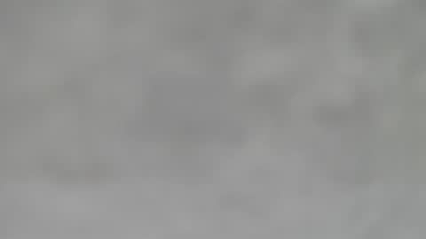 Slutty little female cat online show from 01.31.25