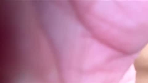 htwnswangn9 online show from 03.03.26