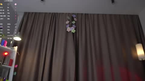 Snapshot of huba_booba chatting on 04.24.26 Diane online show from 04.24.26