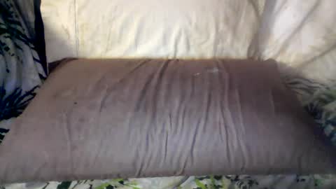 hung420boner online show from 06.12.26