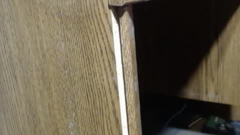 hungsofine online show from 12.18.24