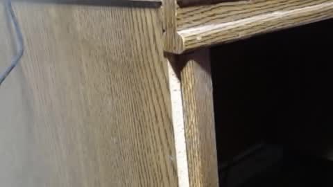 hungsofine online show from 02.19.25