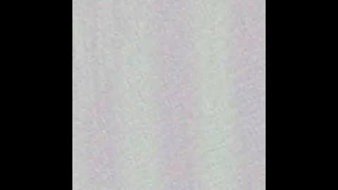 Wh8teboi online show from 11.30.25