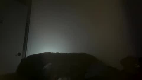 hustlemacc online show from 11.16.25