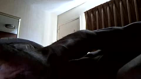 Hypsterical online show from 08.05.26