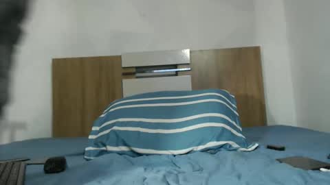 David Colt online show from 04.08.26