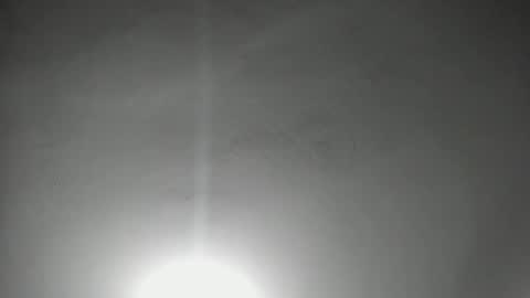 NAHO online show from 03.08.26