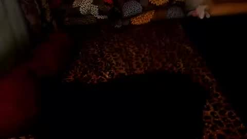 MADAM  MISTRESS ASIANA online show from 12.26.24