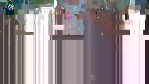 PMS online show from 11.13.25