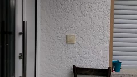 icheinfachich13 online show from 10.21.25