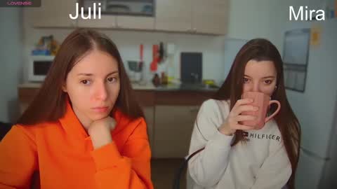 Snapshot of ihavepaws33 chatting on 02.14.25 Julia and Mira online show from 02.14.25