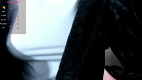 illegal_lorry online show from 12.30.24