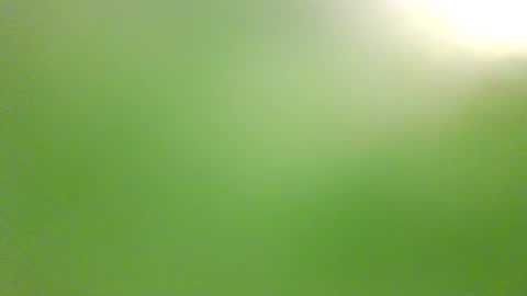 illuminatiheadspace1 online show from 10.03.25